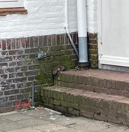 Schoolplein Ramplaan